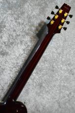 Aria Pro II PE-R100 AR【4.29kg/美品中古】_8