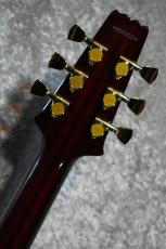 Aria Pro II PE-R100 AR【4.29kg/美品中古】_9