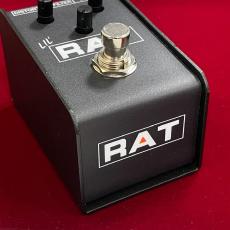Pro Co LIL' RAT_3