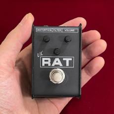 Pro Co LIL' RAT_8