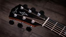 Taylor Gold Label 814e / SB 【4月下旬入荷予定】【ご予約受付中】_4