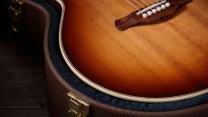 Taylor Gold Label 814e / SB 【4月下旬入荷予定】【ご予約受付中】_8