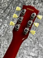 Edwards 【GW版お茶の水大楽器祭 目玉品】E-LP-98 LTS /HB【2010'sUSED】_5