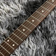 Bacchus BTE-4-RSM/R-BPPG DLPB -Univers Series-【特価】_5