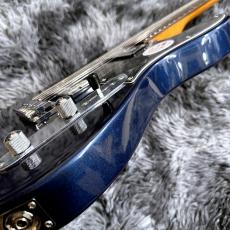 Bacchus BTE-4-RSM/R-BPPG DLPB -Univers Series-【特価】_10