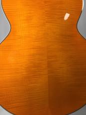 D'Angelico 【2022年製】Excel EXL-1 【3.20kg】_9