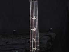 Paul Reed Smith [PRS] Custom 24 10Top Limited Edition "DMO" Artic Blue 2026_6