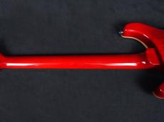 Paul Reed Smith [PRS] SE Custom 24 Ruby 2025_8