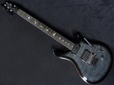 Paul Reed Smith [PRS] SE Custom 24 "Floyd" Ebony FB Charcoal Burst 2025_2