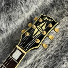 Greco EGC-600 Ebony_5