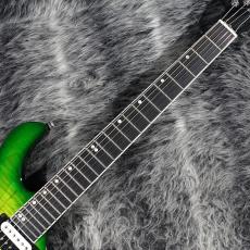 Gibson Victory Figured Top Iguana Burst_4