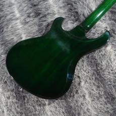 Gibson Victory Figured Top Iguana Burst_6