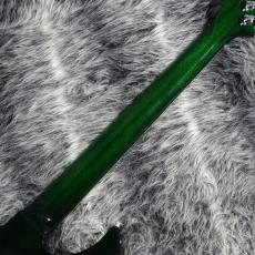 Gibson Victory Figured Top Iguana Burst_8