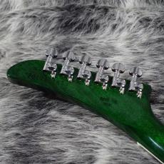 Gibson Victory Figured Top Iguana Burst_9