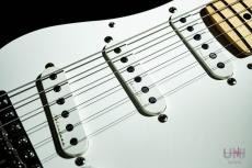 Fender Eric Clapton Stratocaster "Blackie"  / 2013_4