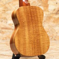 ASTURIAS ROC-KK/LTD Soprano 2014_2