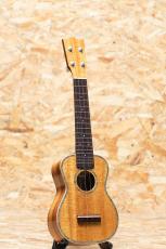 ASTURIAS ROC-KK/LTD Soprano 2014_3