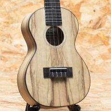 Lo Prinzi BBL-DSC Concert