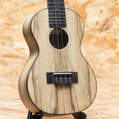 Lo Prinzi BBL-DSC Concert