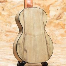 Lo Prinzi BBL-DSC Concert_2