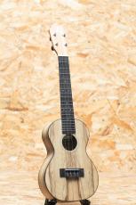 Lo Prinzi BBL-DSC Concert_3