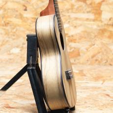 Lo Prinzi BBL-DSC Concert_4