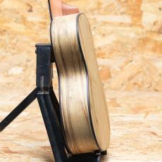 Lo Prinzi BBL-DSC Concert_5