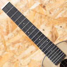 Lo Prinzi BBL-DSC Concert_6