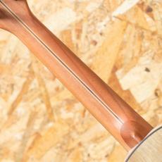 Lo Prinzi BBL-DSC Concert_7