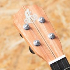 Lo Prinzi BBL-DSC Concert_8