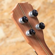 Lo Prinzi BBL-DSC Concert_9