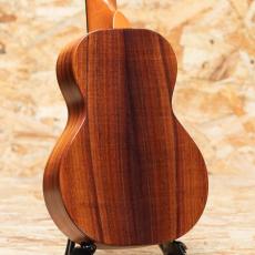 KoAloha KCM-10 Concert 2017_2