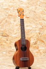 KoAloha KCM-10 Concert 2017_3