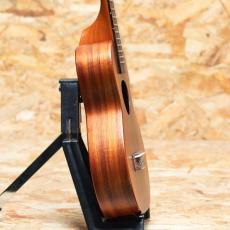 KoAloha KCM-10 Concert 2017_4