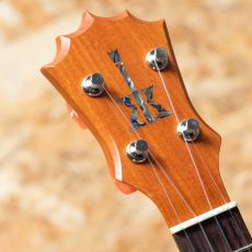 KoAloha KCM-10 Concert 2017_8