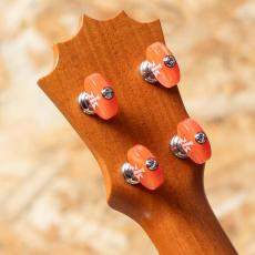 KoAloha KCM-10 Concert 2017_9