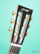 Collings Parlor 1 Mh T_3
