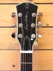 Sire Larry Carlton L7/TS_3