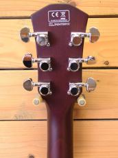 Sire Larry Carlton L7/TS_4