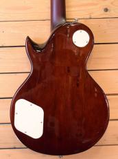 Sire Larry Carlton L7/TS_5