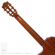 Bromo Guitars BEN2C 3ts (3 Tone Sunburst)_7