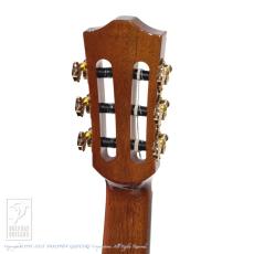 Bromo Guitars BEN2C 3ts (3 Tone Sunburst)_9