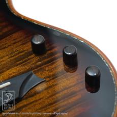 Bromo Guitars BEN2C 3ts (3 Tone Sunburst)_12