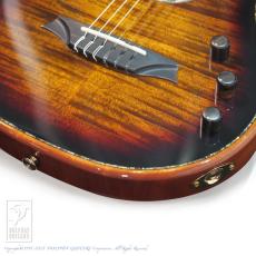 Bromo Guitars BEN2C 3ts (3 Tone Sunburst)_15