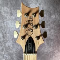 Paul Reed Smith [PRS] NF53 Blue Matteo_2