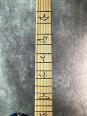 Paul Reed Smith [PRS] NF53 Blue Matteo_3
