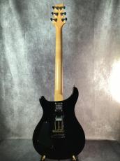 Paul Reed Smith [PRS] CE24 MAPLE_5