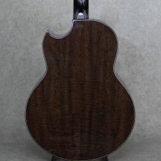 Kevin Ryan Paradiso Grand Concert Cutaway Lutz Spruce / Katalox_3