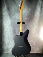 Psychederhythm Psychocaster Ash Violet_5