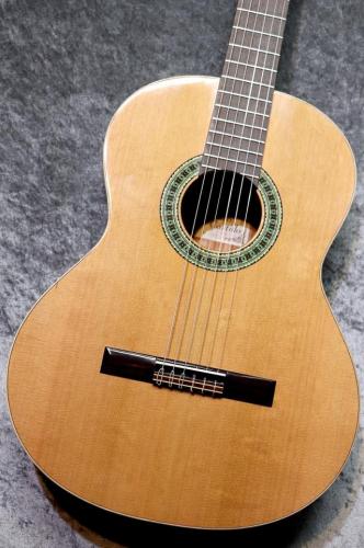 Paco Castillo / パコ・カスティージョ 【小物6点サービス!】201 杉 / サペリ #27621 【綺麗な音色です】【スペインブランド】【池袋店在庫品】